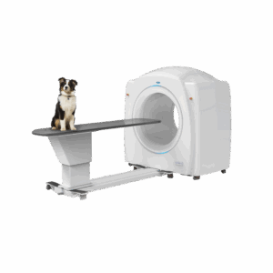 Tomógrafo Computarizado de Haz Cónico (CBCT) Veterinario